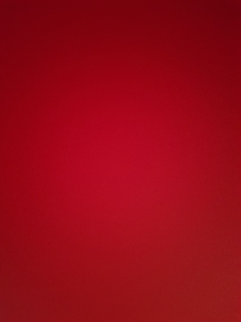 Erkek Çocuk Dinozor Baskılı Maske